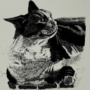 Limited Edition Bobbie Cericola Cat Pen Art Print 25/300 Black White Signed 9x12